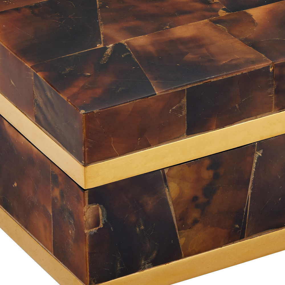 
                      
                        Casey Brown Box.
                      
                    