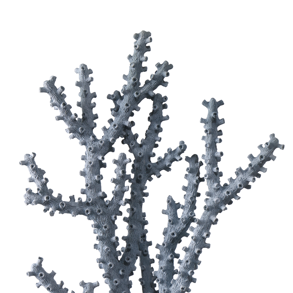 
                      
                        Blue Coral Set of 2.
                      
                    