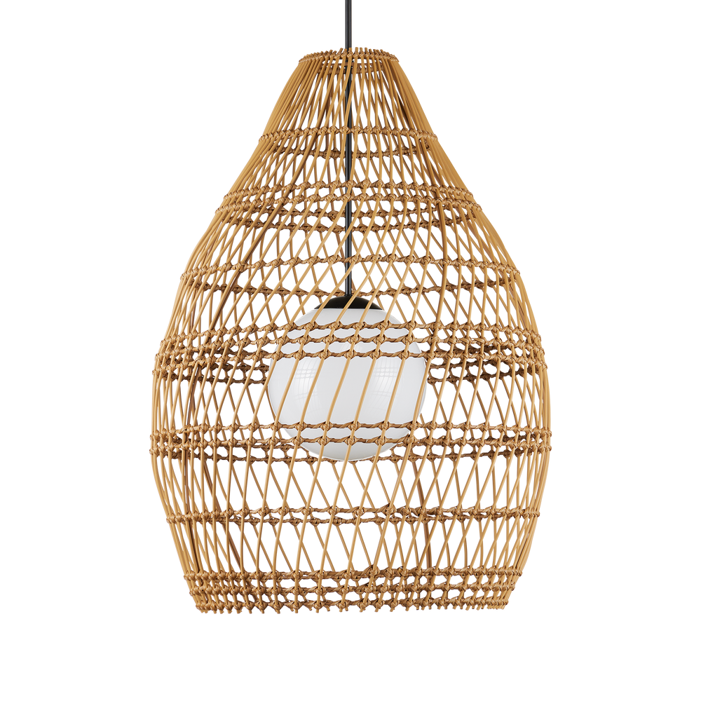 
                      
                        Fishtrap Outdoor Pendant.
                      
                    