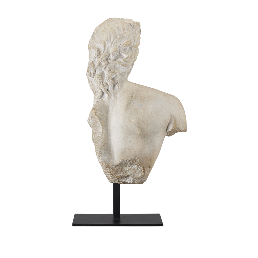 
                      
                        Young Royal Greek Torso
                      
                    