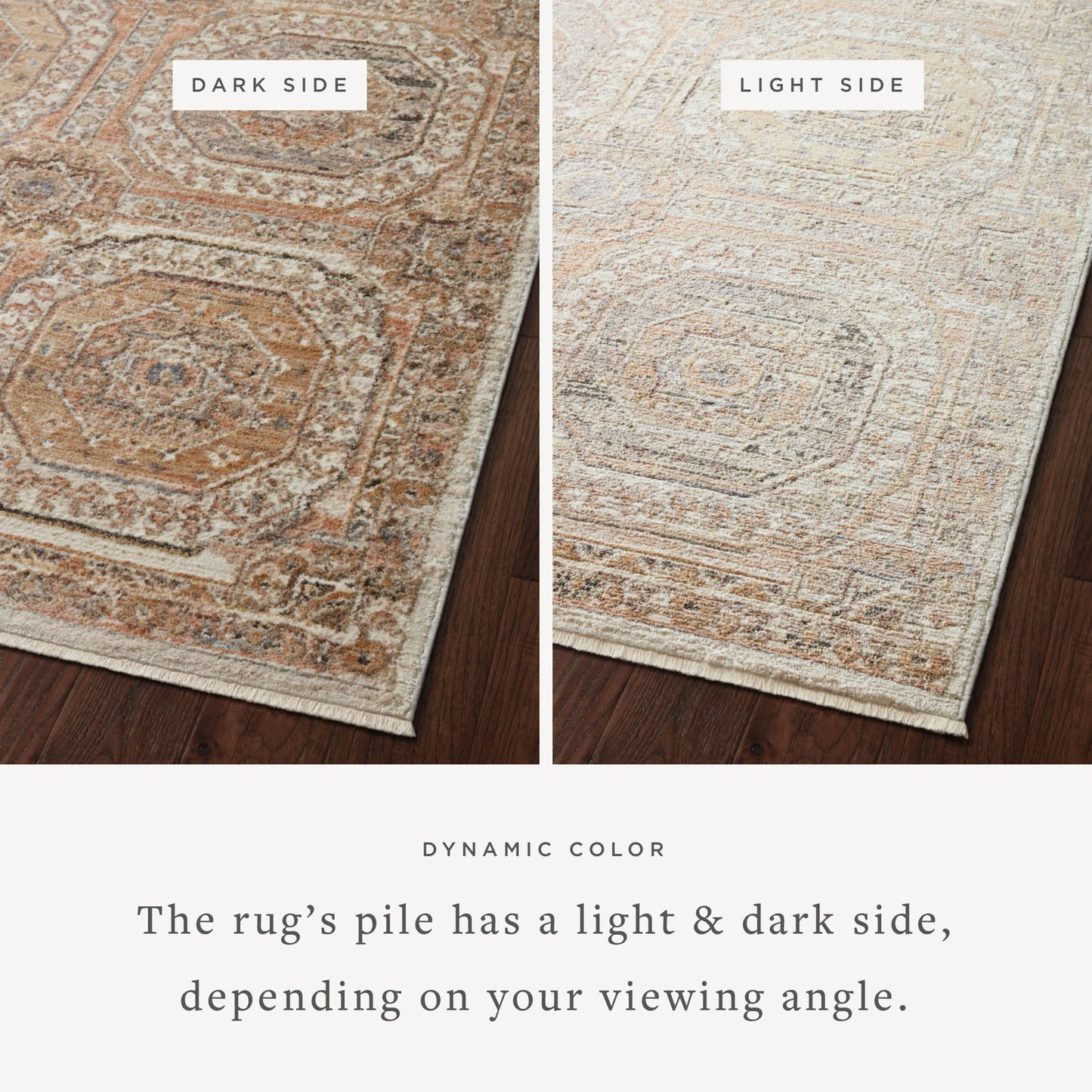 Loloi Sonnet Apricot / Multi 2'-6" x 8'-0" Runner Rug