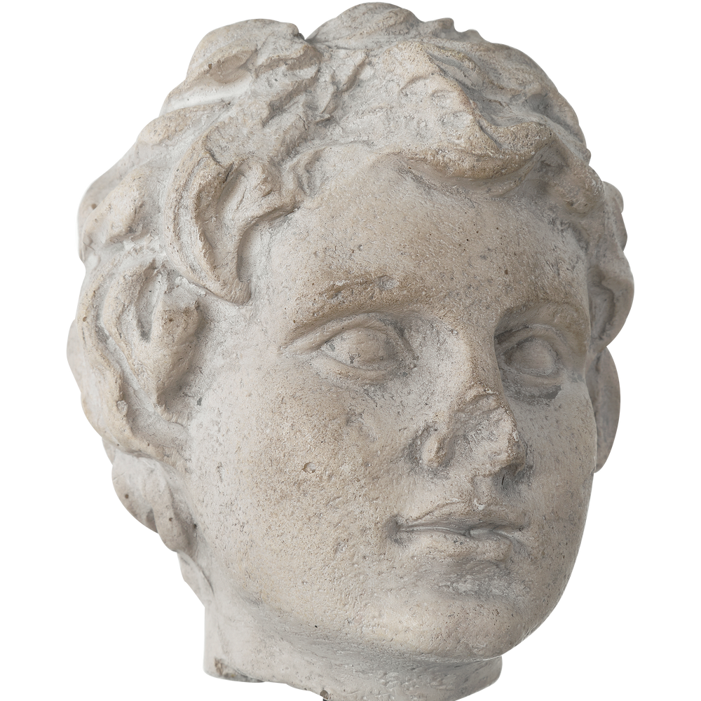 Venus Head on Stand Set of 2