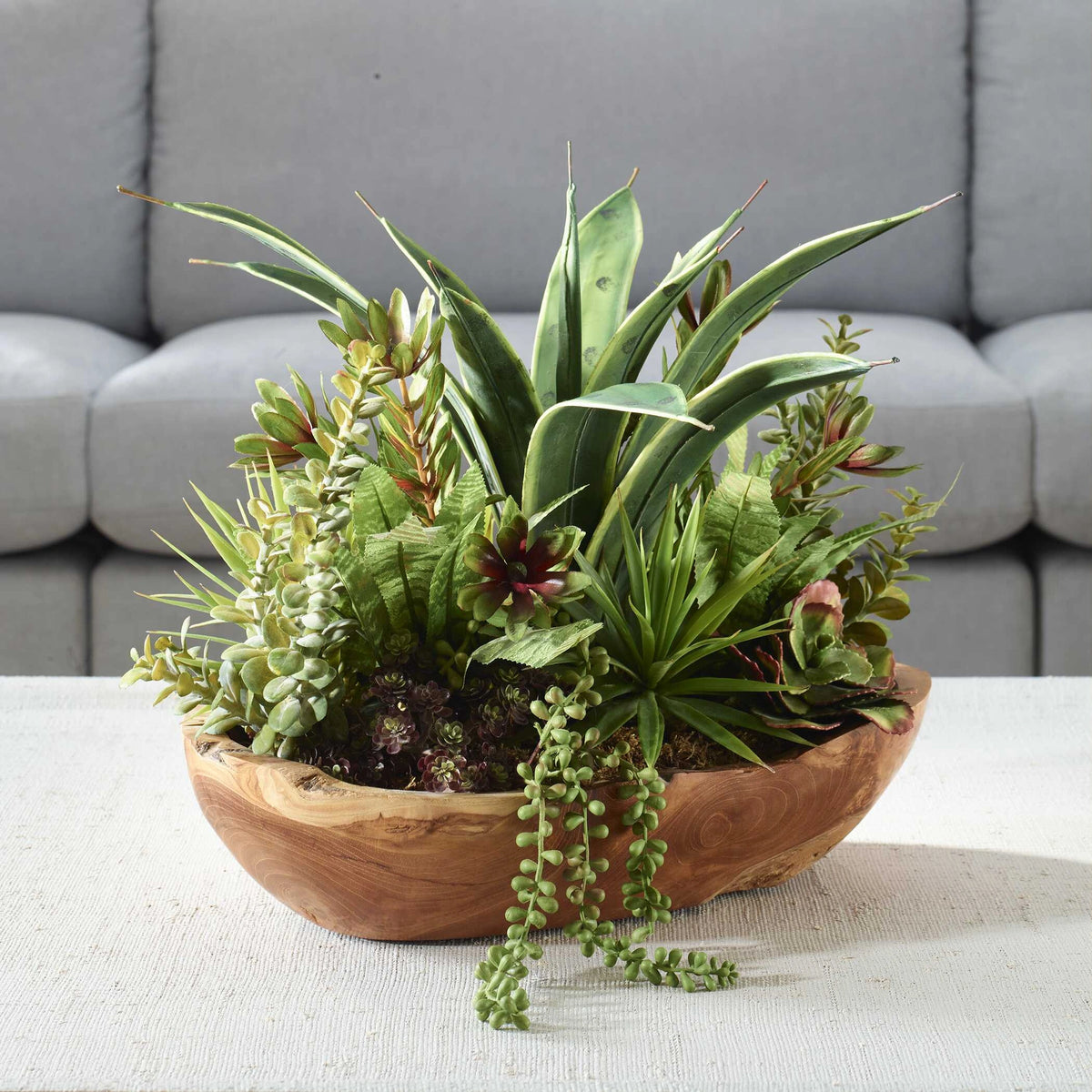 Salar Succulents In Teak Bowl