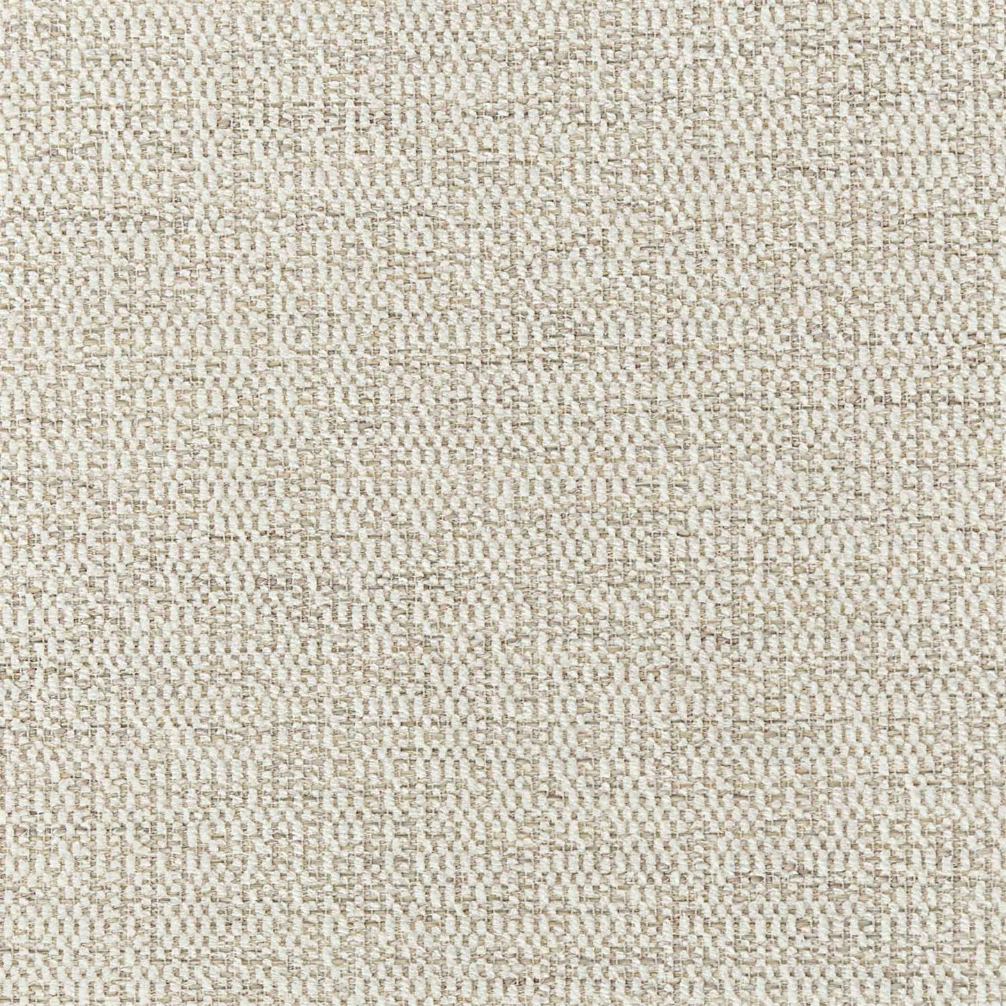 5560 - 002 Fabric Swatch - #shop_name swatch