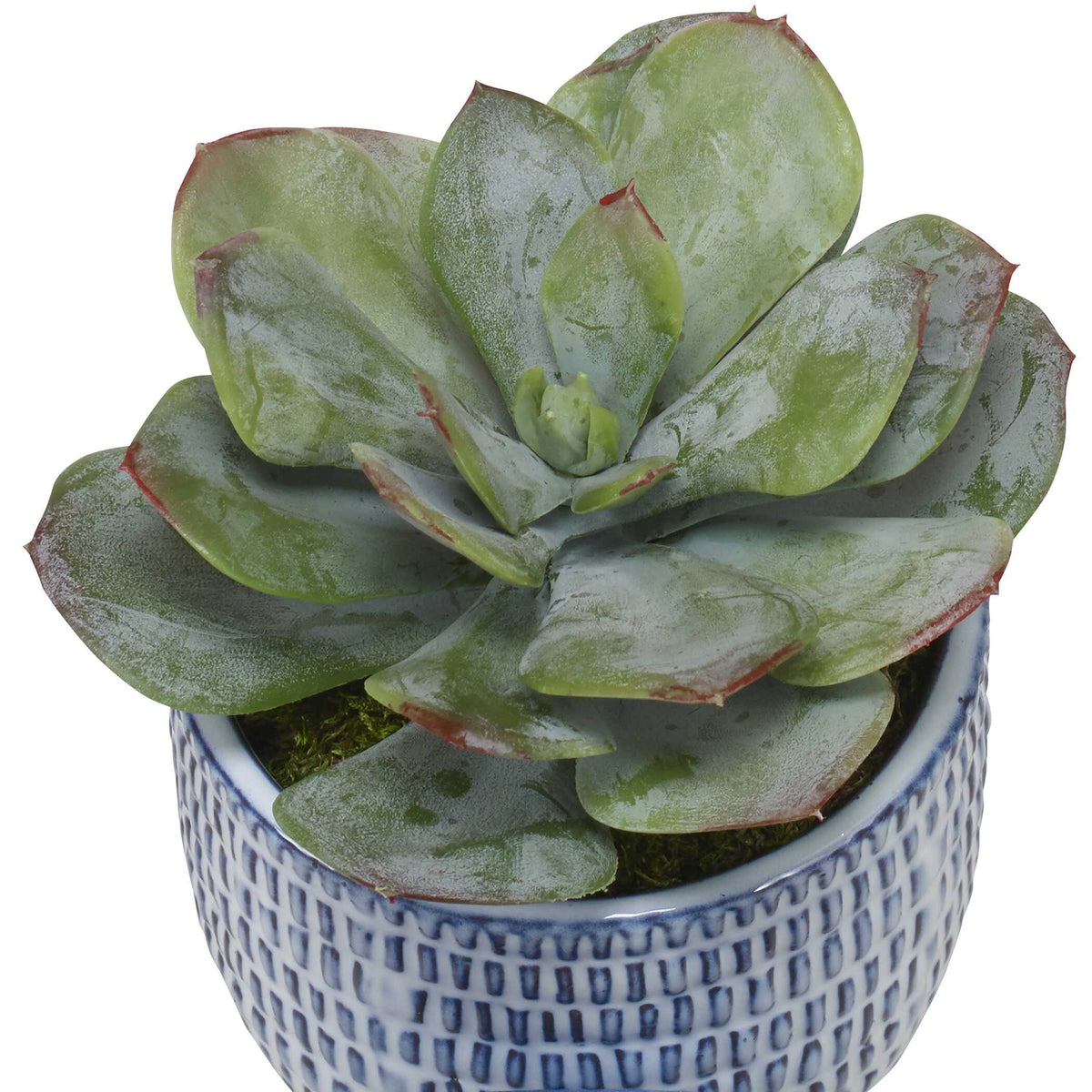 Puebla Greenery In Blue & White Pots Set/3