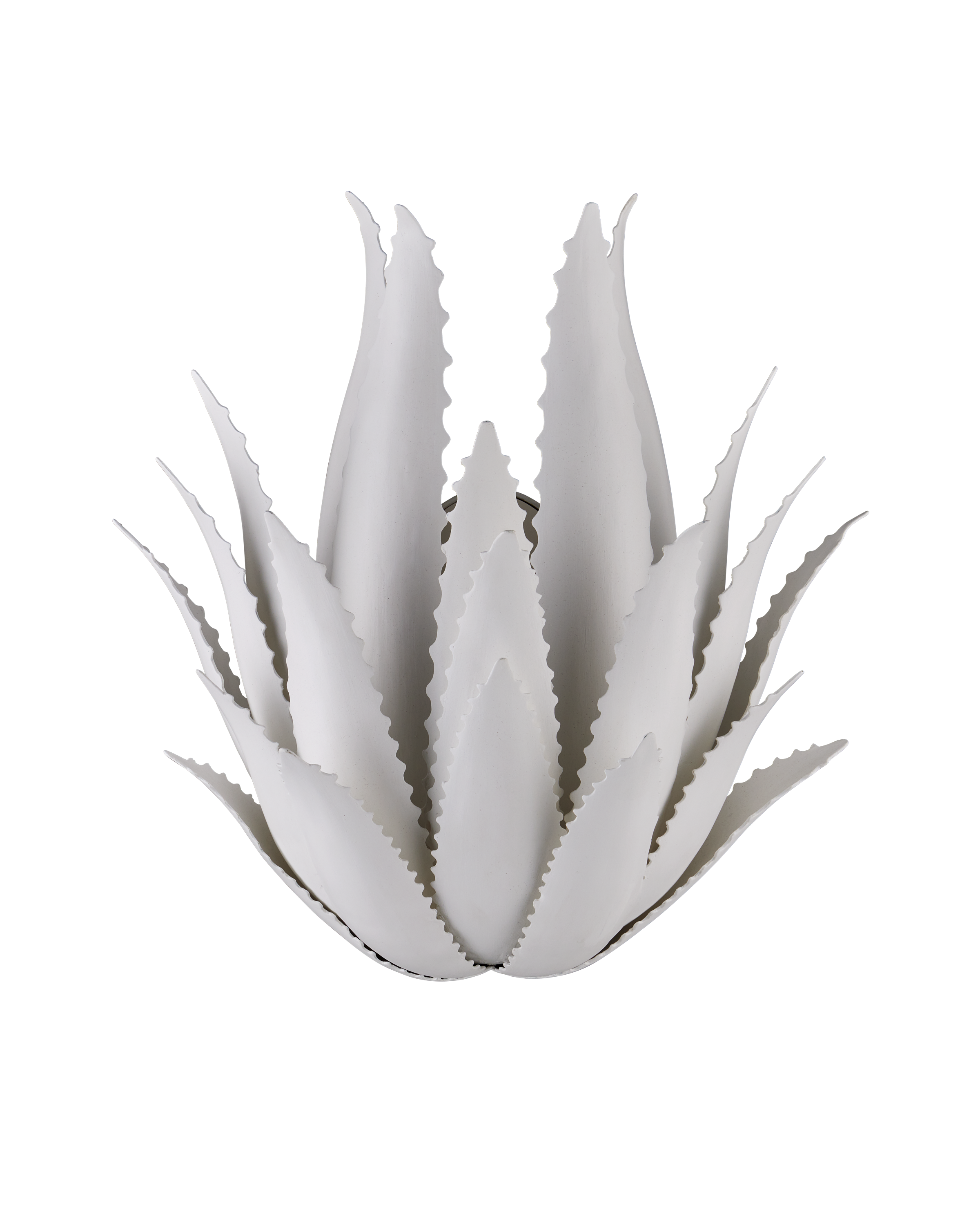 Agave Wall Sconce - Thumbnail 4