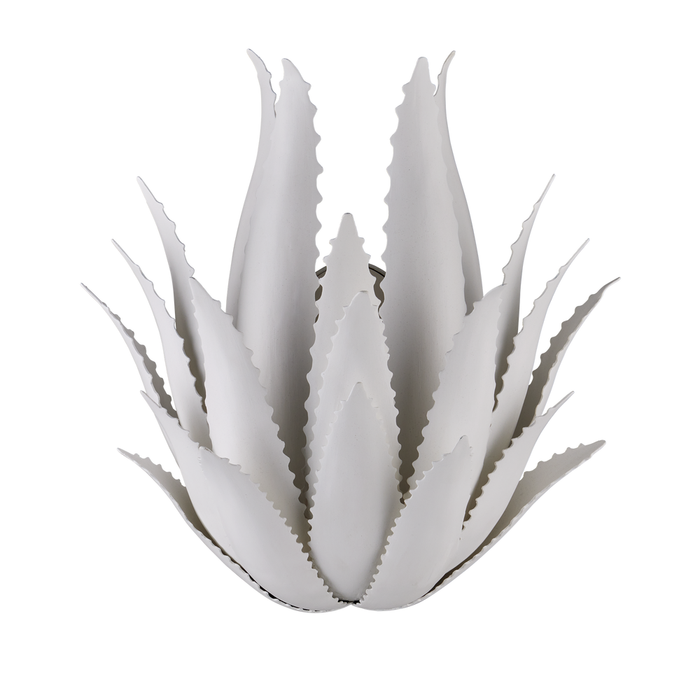 
                      
                        Agave Wall Sconce
                      
                    