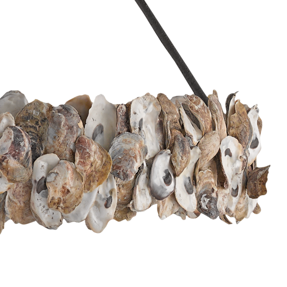 Oyster Shell Chandelier