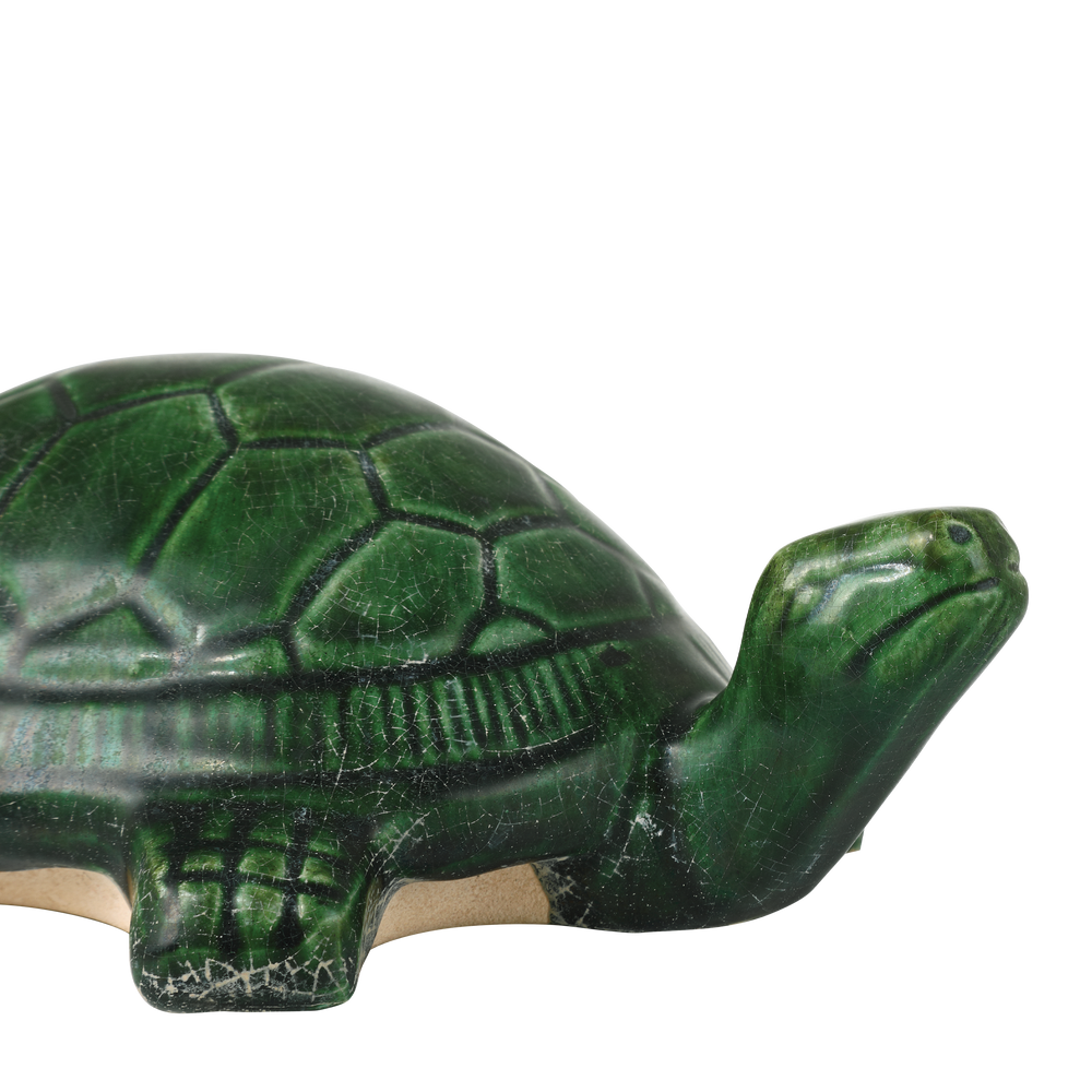 
                      
                        Tang Dynasty Green Turtle
                      
                    