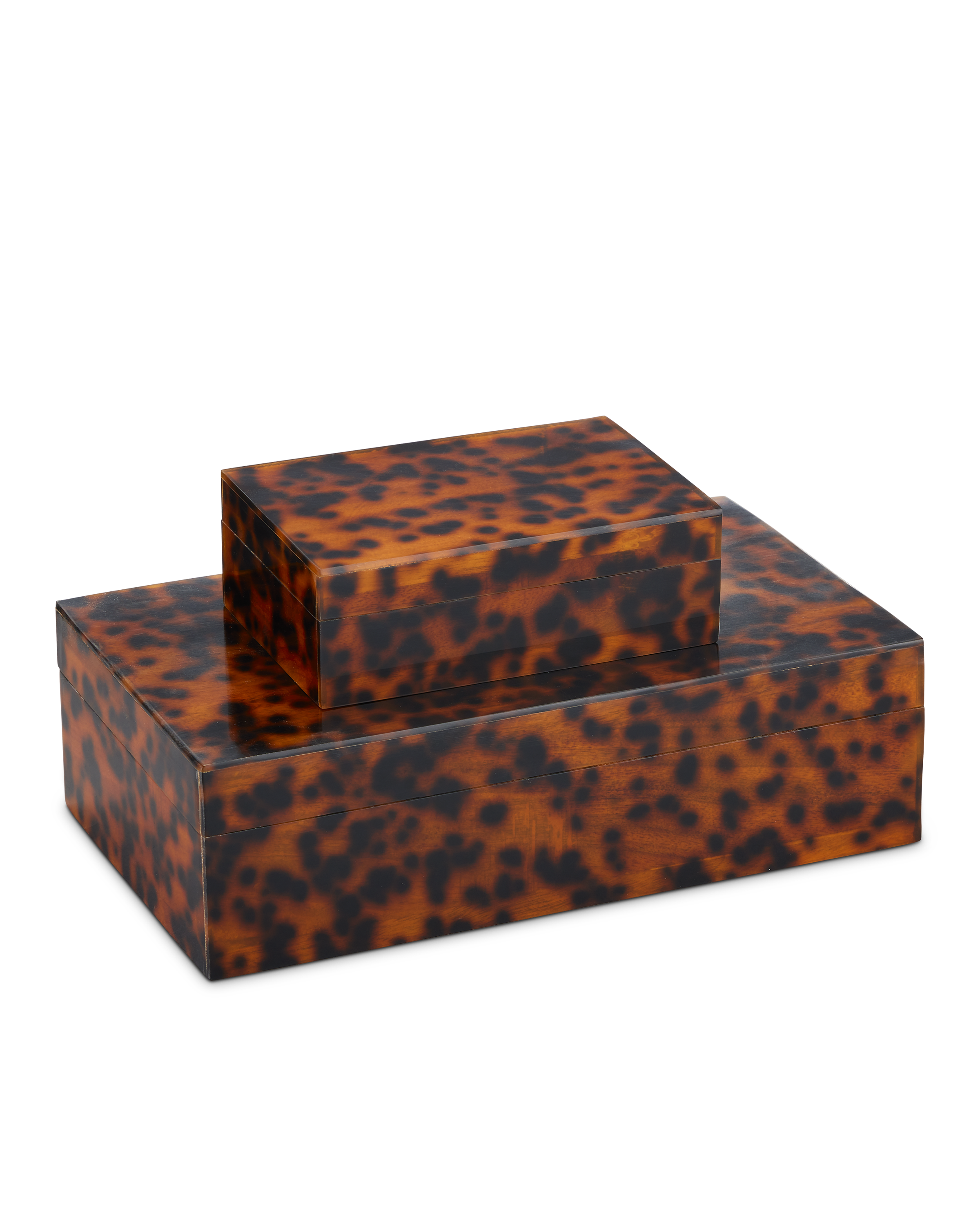 Faux Tortoise Box Set of 2 - Thumbnail 2