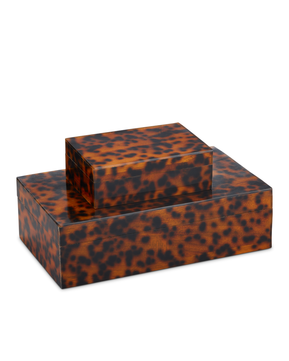 Faux Tortoise Box Set of 2.
