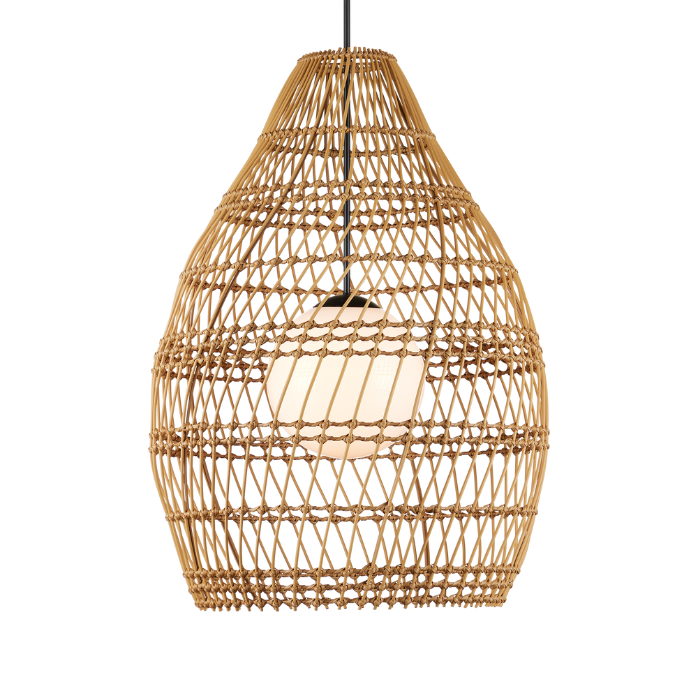 Fishtrap Outdoor Pendant.