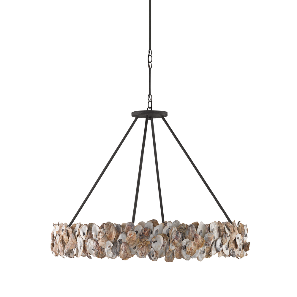 
                      
                        Oyster Shell Chandelier
                      
                    