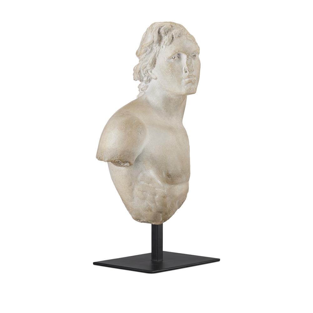 
                      
                        Young Royal Greek Torso
                      
                    