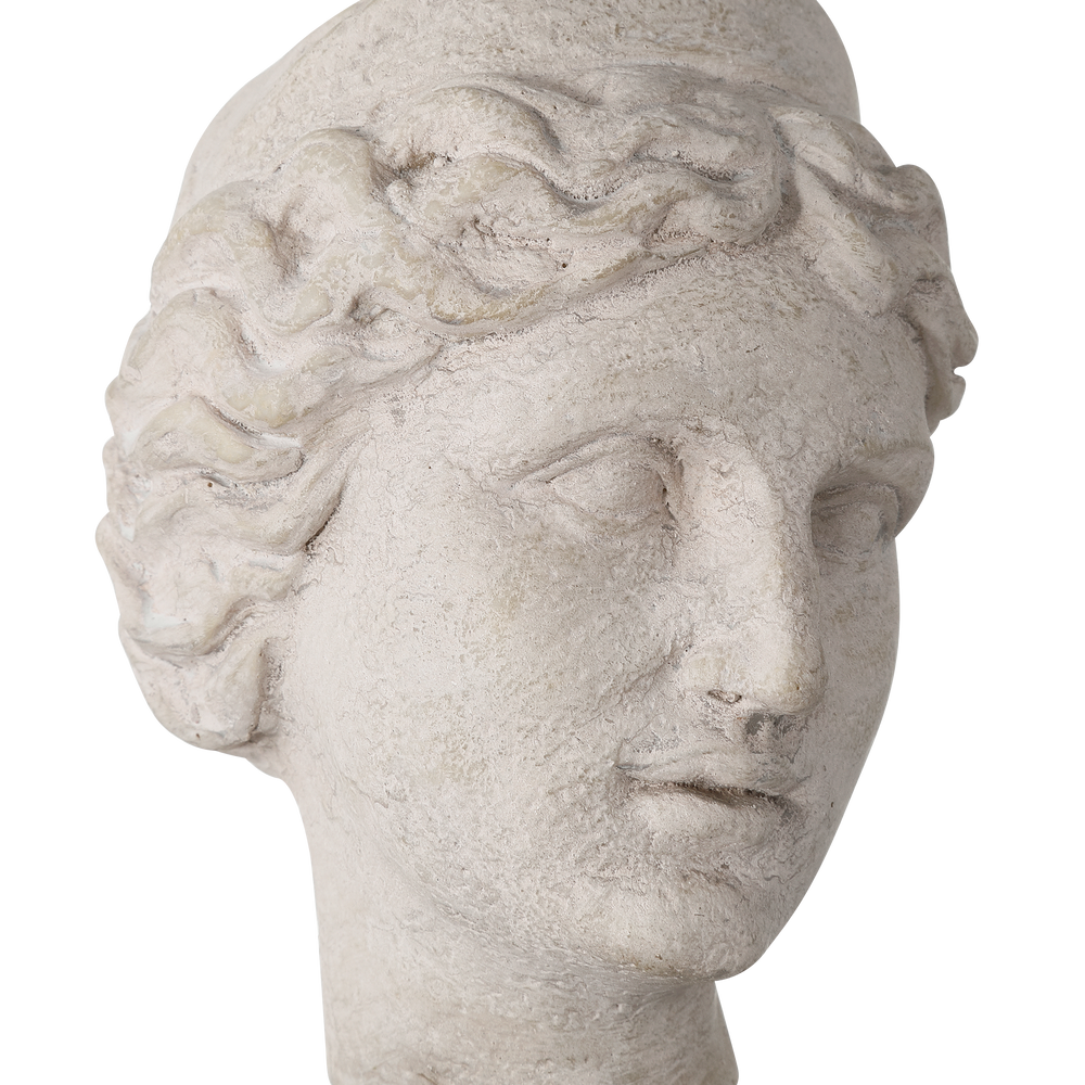 
                      
                        Venus Head on Stand Set of 2
                      
                    