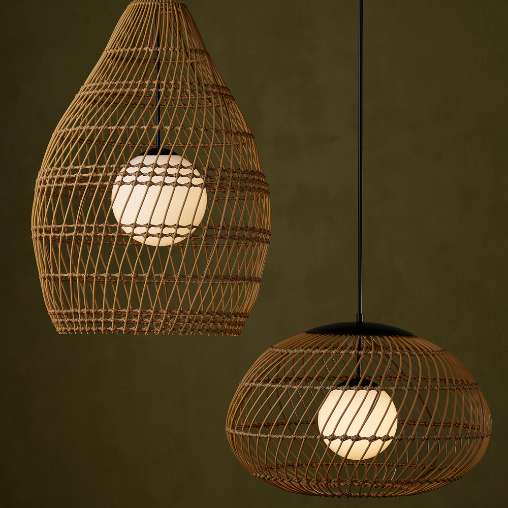 
                      
                        Fishtrap Outdoor Pendant.
                      
                    