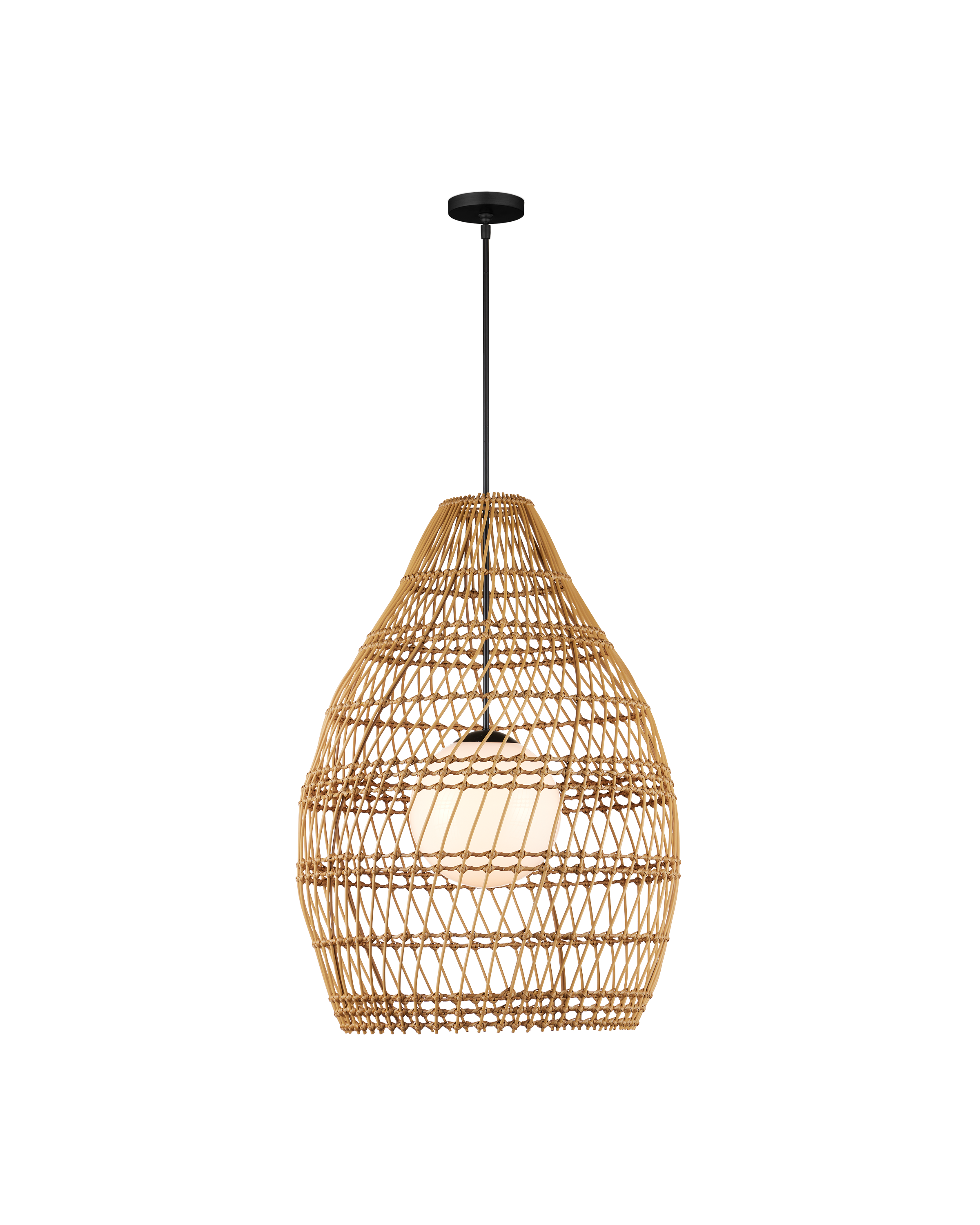 Fishtrap Outdoor Pendant