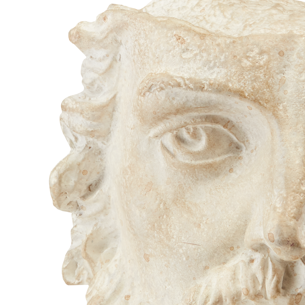 
                      
                        Head of Zeus.
                      
                    