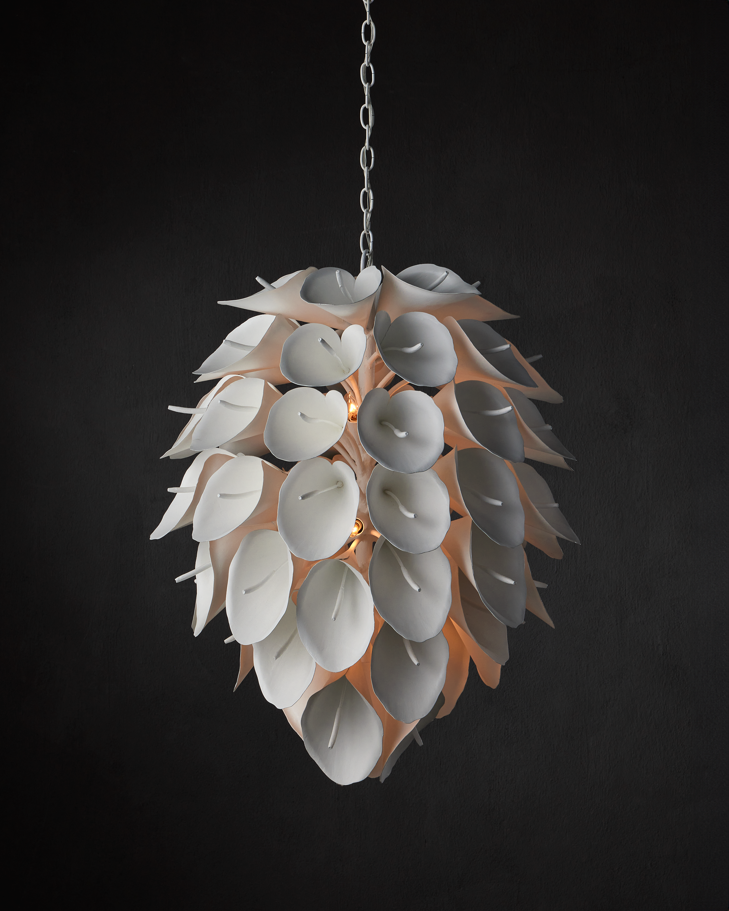 Currey & Company Diego Chandelier - Thumbnail 4