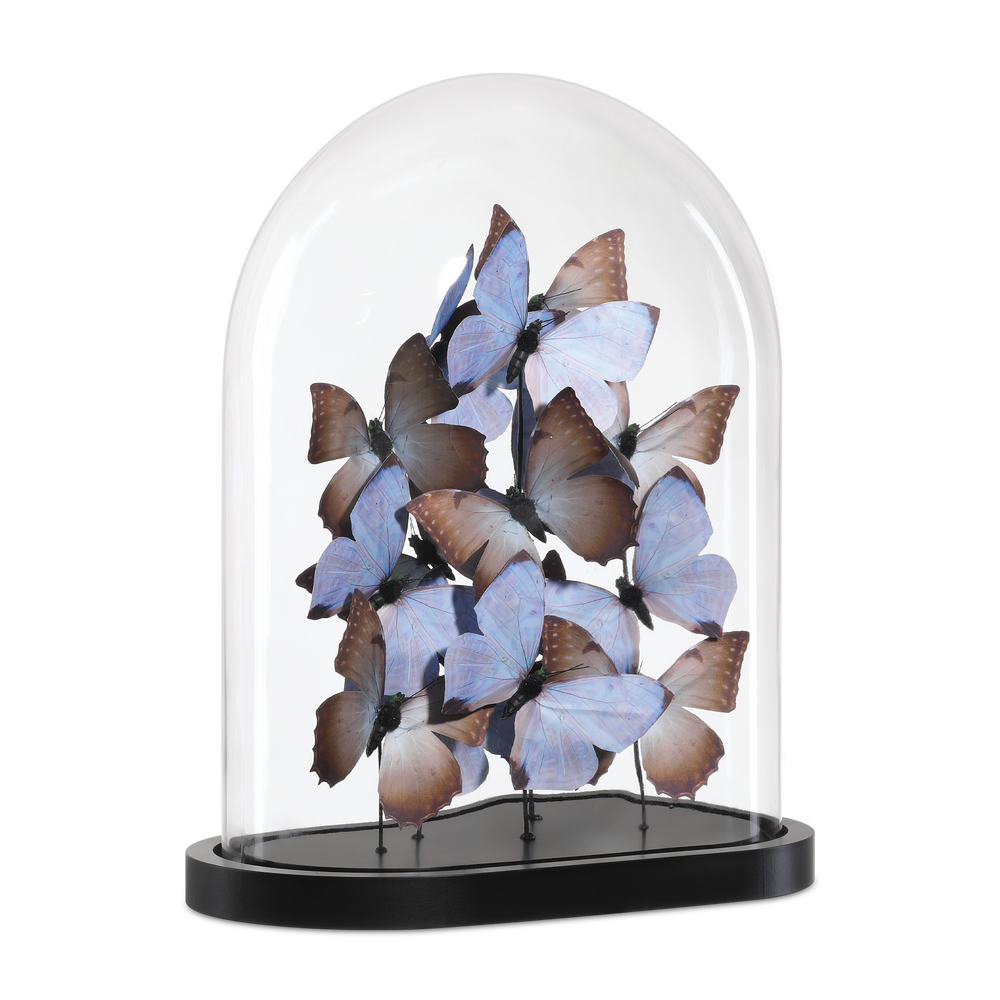
                      
                        Rue de Bac Lilac Large Butterflies.
                      
                    