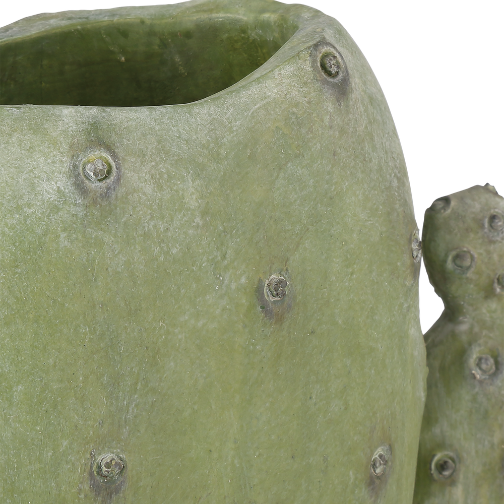 
                      
                        Cactus Vase Set of 3.
                      
                    