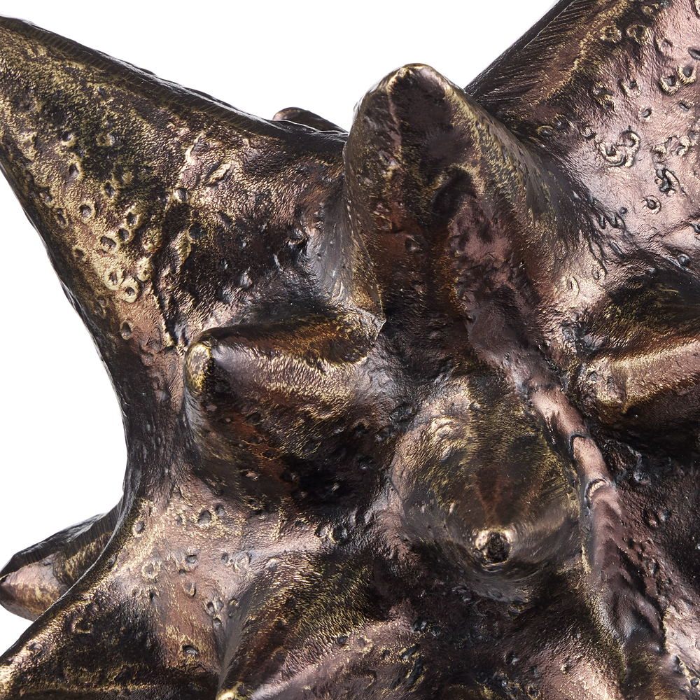 
                      
                        Jacks Object Set of 2.
                      
                    