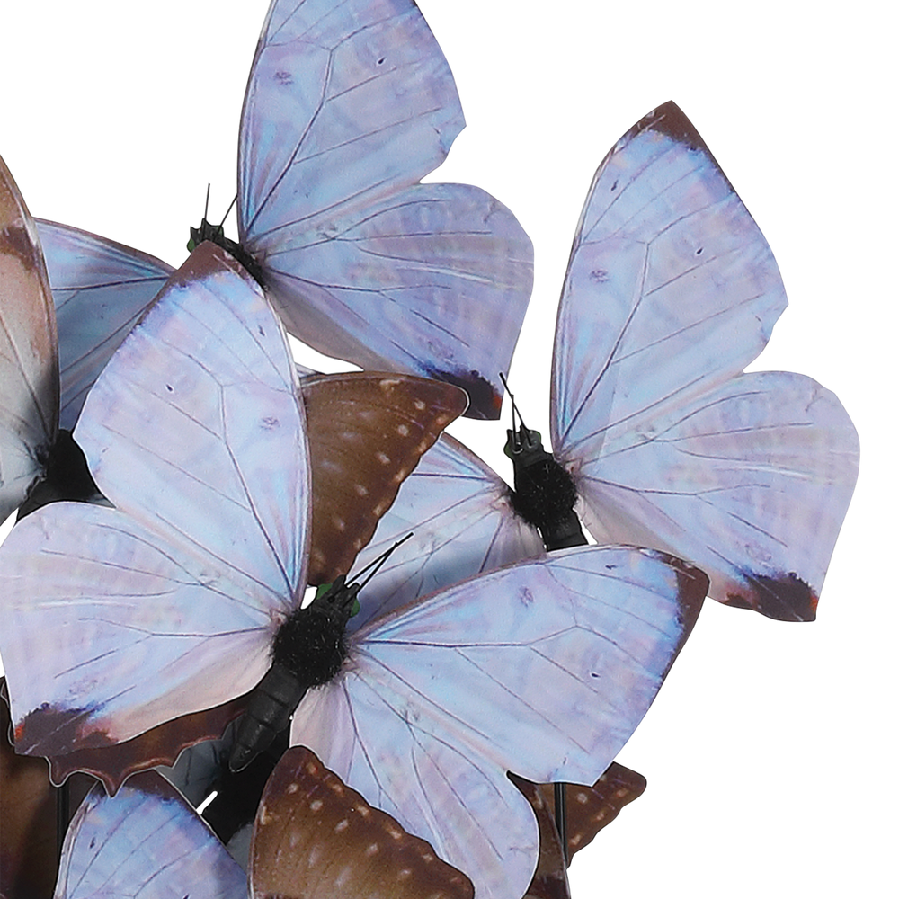 
                      
                        Rue de Bac Lilac Medium Butterflies.
                      
                    
