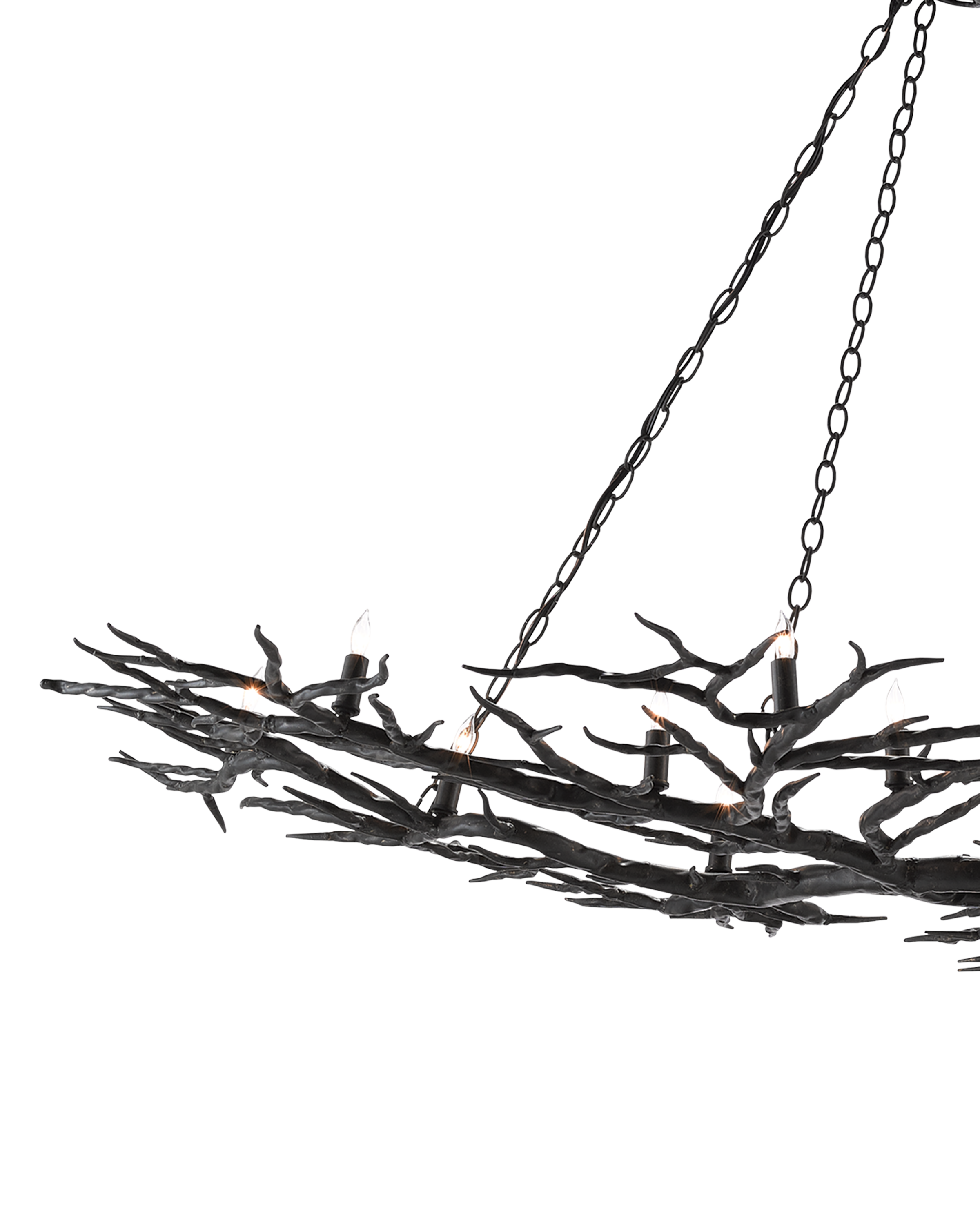 Currey & Company Rainforest Chandelier - Thumbnail 3