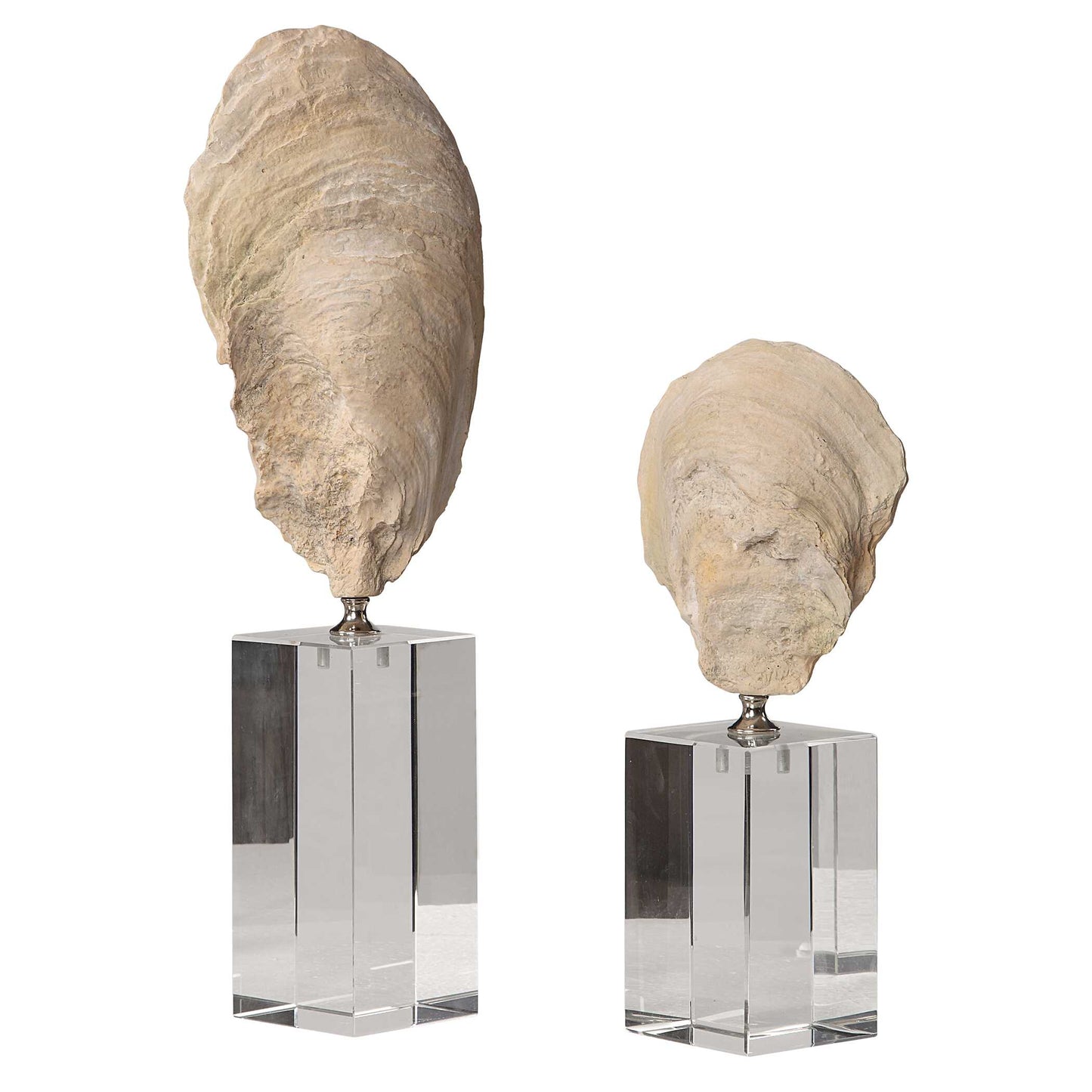 Uttermost Oyster Shell Sculptures Set/2