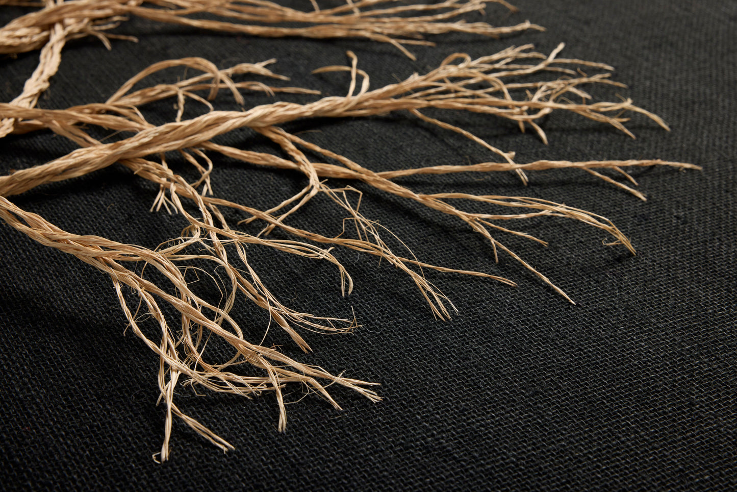 Loloi Rooted Black / Beige 3'-8" x 4'-3" Wall Art