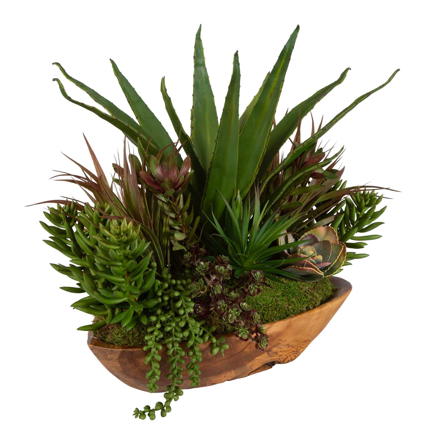 Uttermost Salar Succulents In Teak Bowl