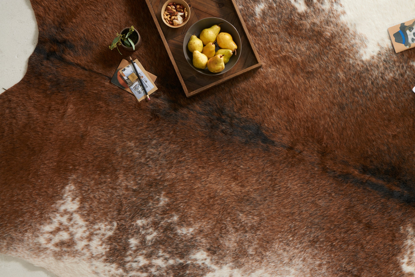 Loloi Grand Canyon Coffee / Ivory 5' x 6'-6" Area Rug