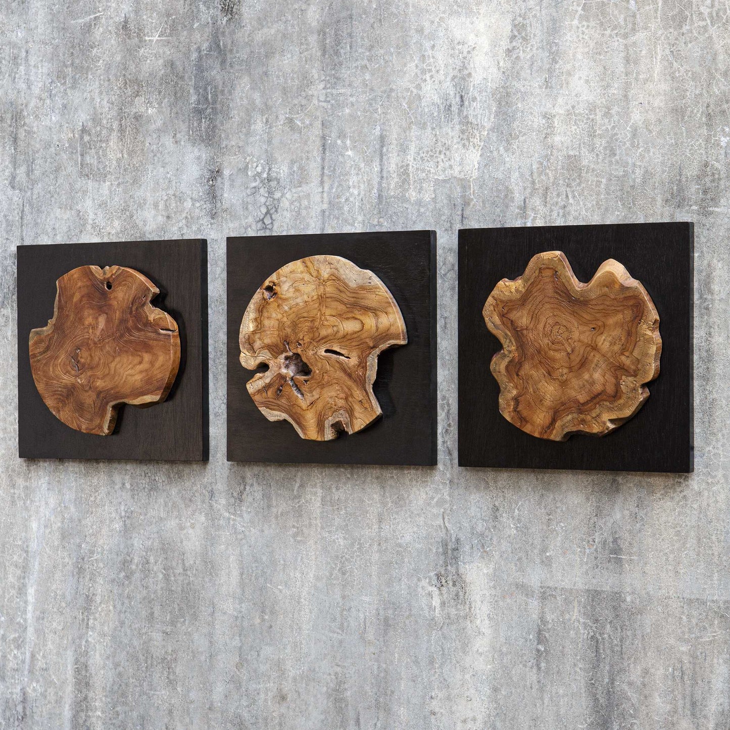 Uttermost Kolini Teak Wood Wall Decor Set/3