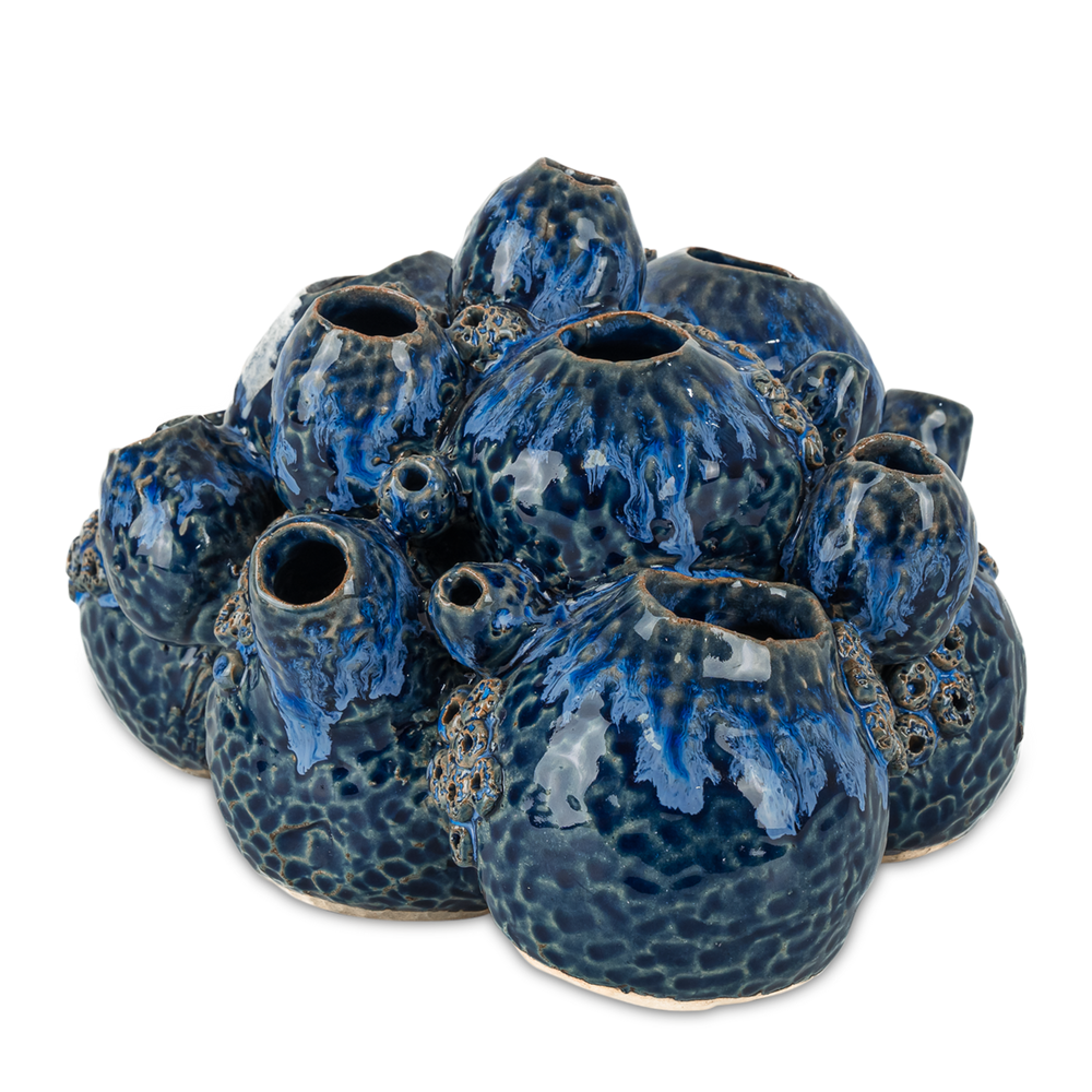 
                      
                        Sulawasi Blue Shells.
                      
                    