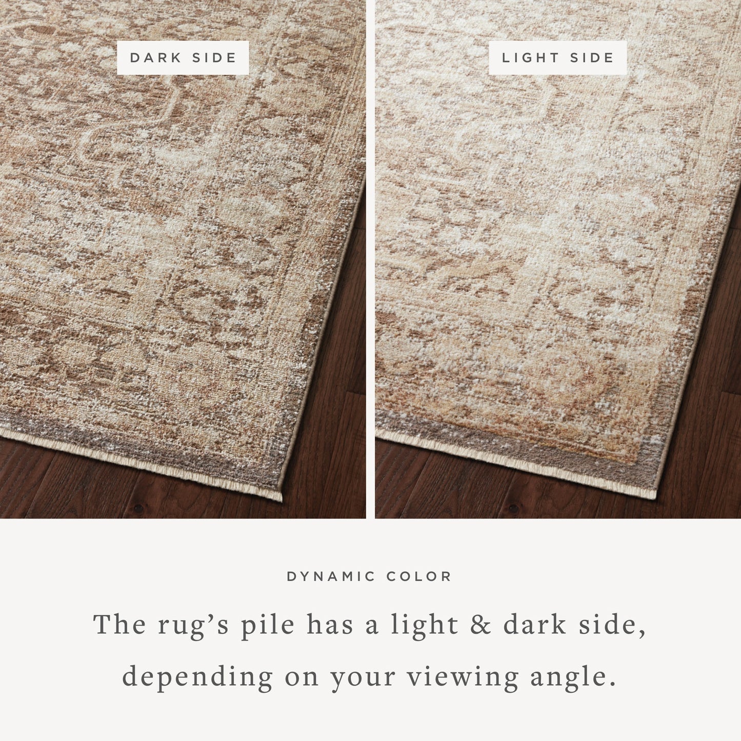 Loloi Sonnet Mocha / Tan 9'-3" x 13' Area Rug