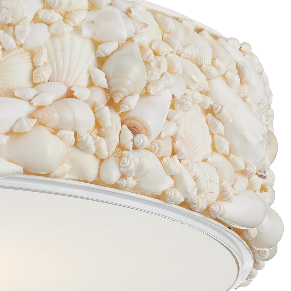 
                      
                        Turbinella Semi-Flush Mount
                      
                    