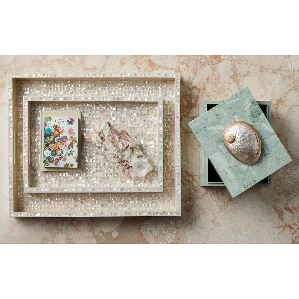 
                      
                        Gerri Dot Mother of Pearl Tray Set of 2.
                      
                    