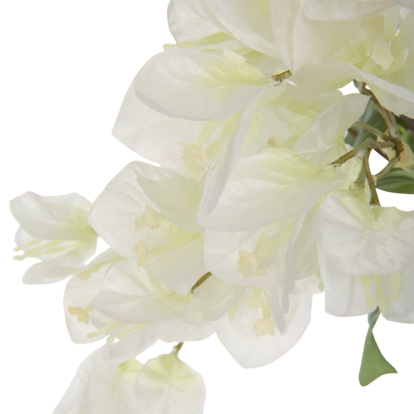 Antiparos Bougainvillea Centerpiece - #shop_name Accessories, Accent Decor