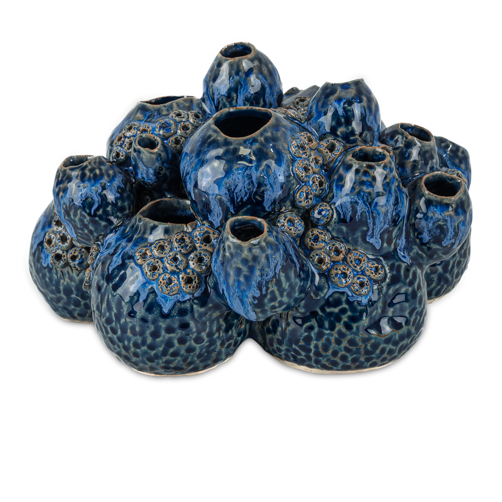 
                      
                        Sulawasi Blue Shells.
                      
                    