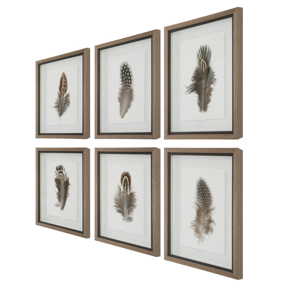 
                      
                        Birds Of A Feather Framed Prints, S/6 - #shop_name Art
                      
                    