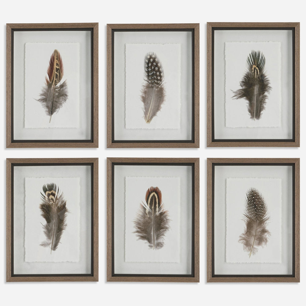 
                      
                        Birds Of A Feather Framed Prints, S/6 - #shop_name Art
                      
                    