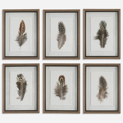 Birds Of A Feather Framed Prints, S/6