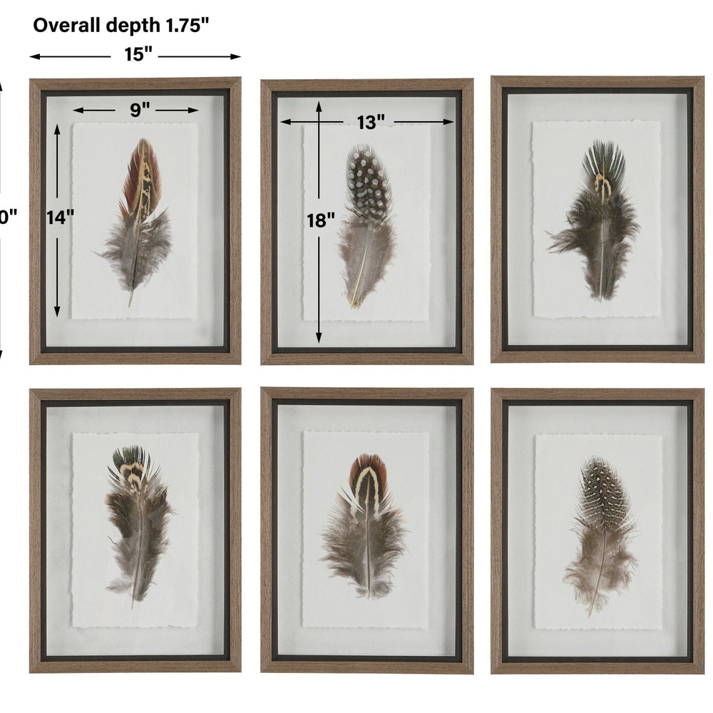 
                      
                        Birds Of A Feather Framed Prints, S/6 - #shop_name Art
                      
                    