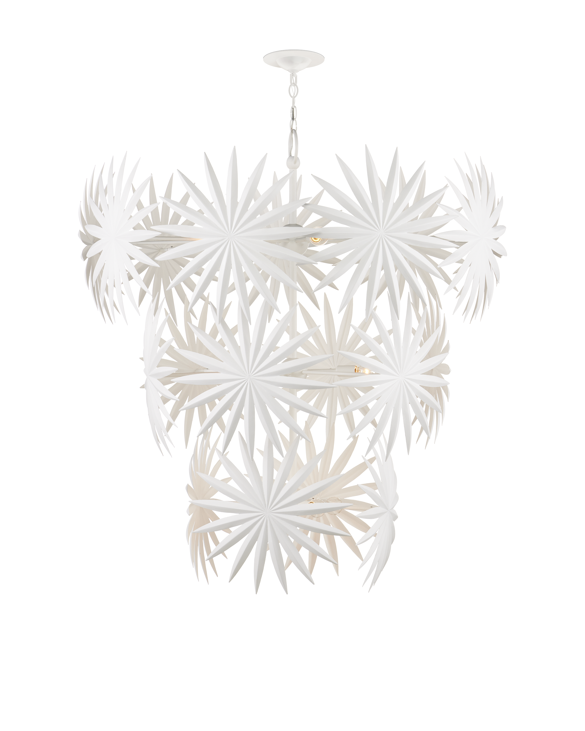 Currey & Company Bismarkia Chandelier