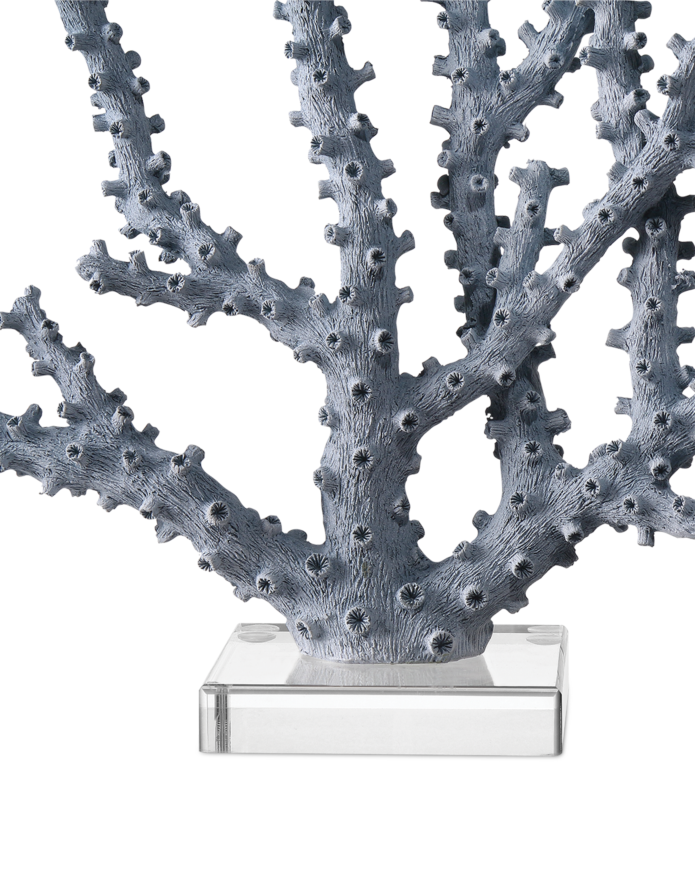 Currey & Company Coral