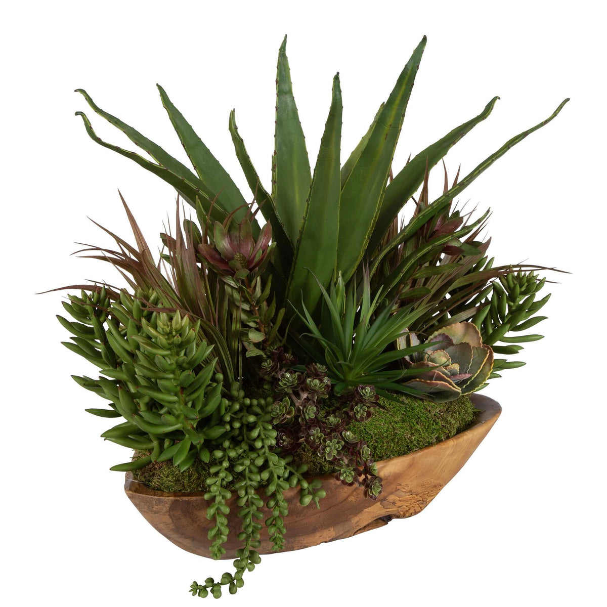 Salar Succulents In Teak Bowl
