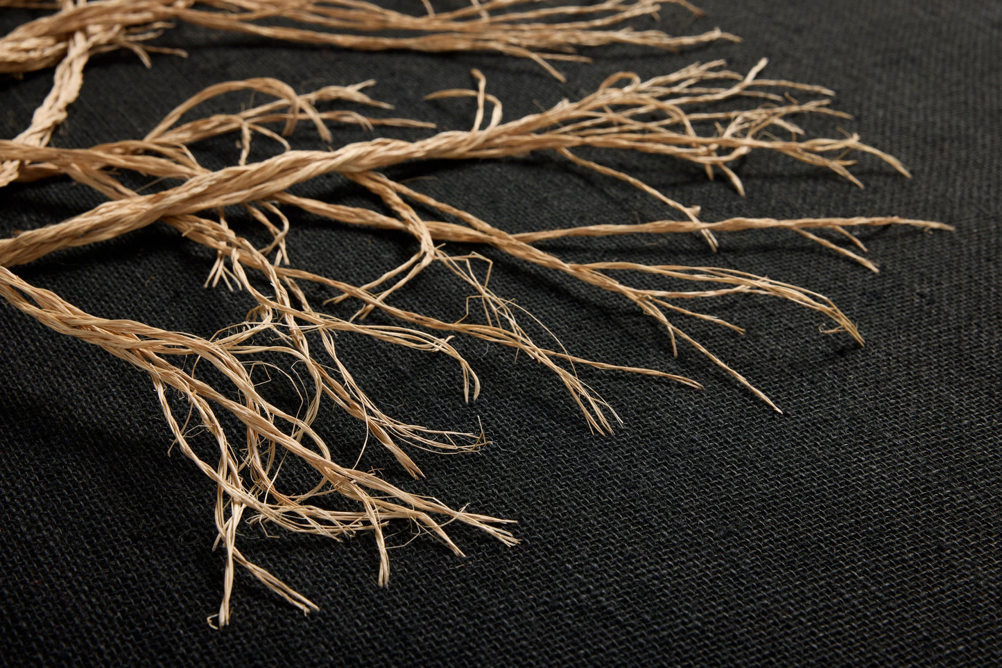 Loloi Rooted Black / Beige 3'-8" x 4'-3" Wall Art