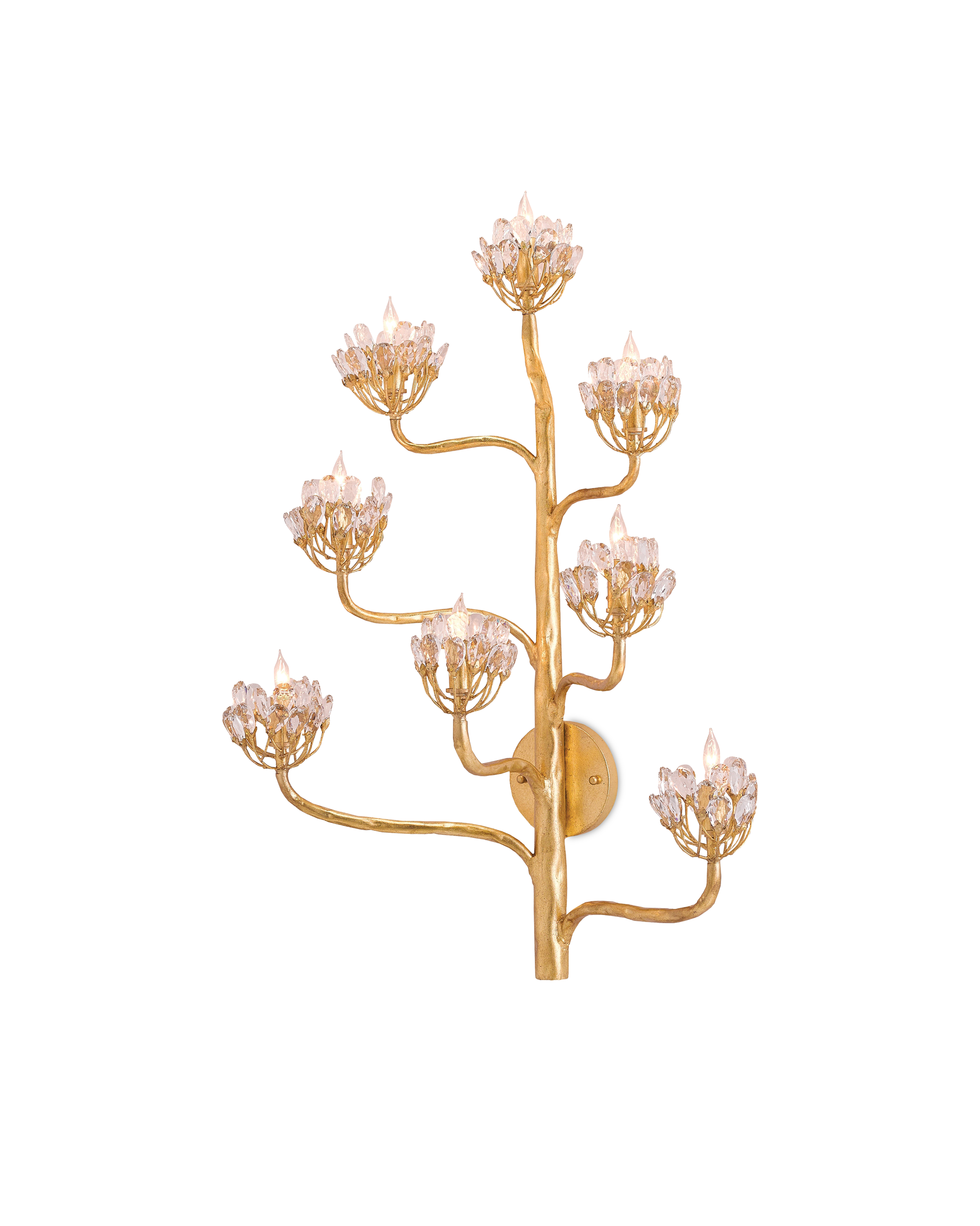 Agave Americana Gold Wall Sconce