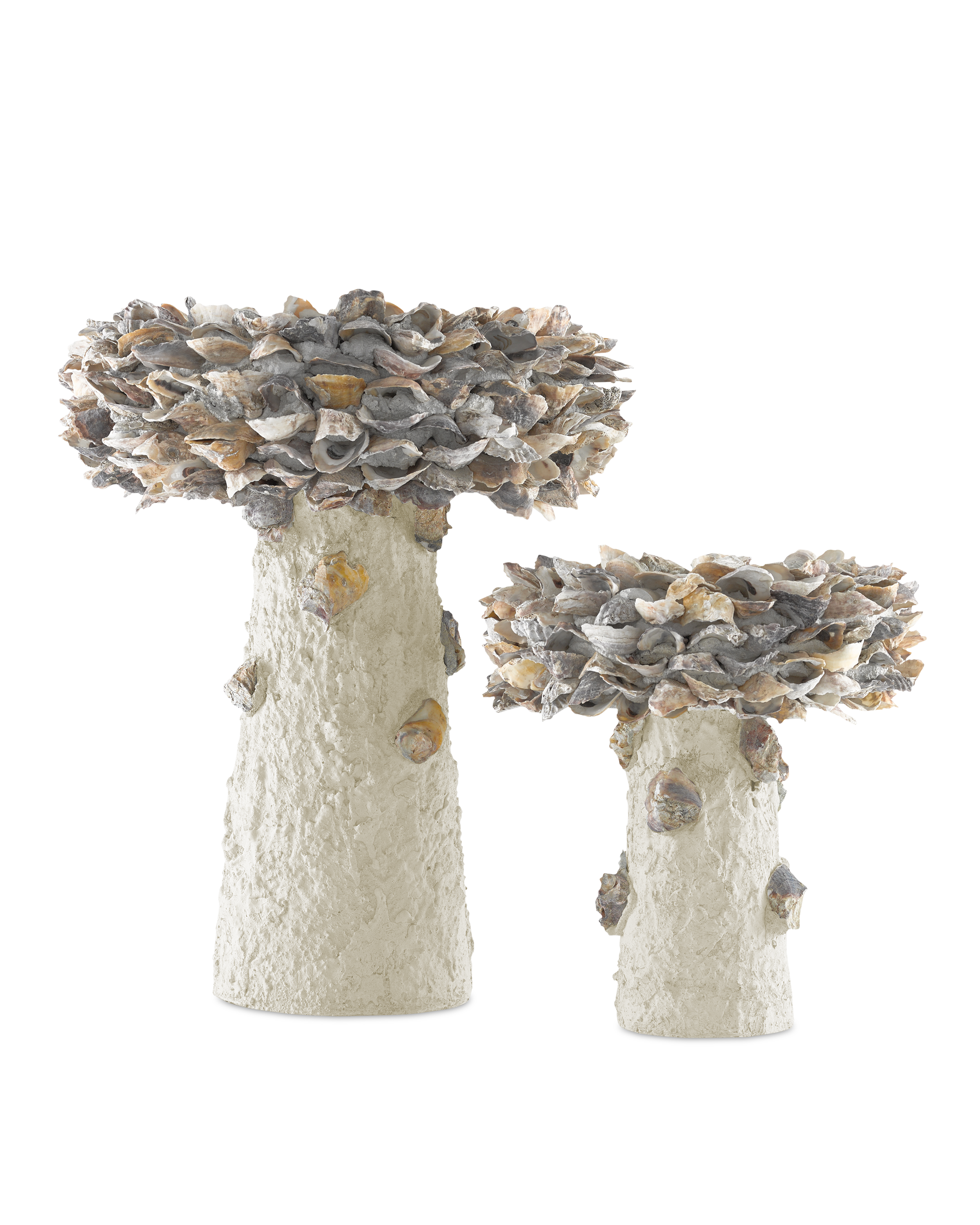 Oyster Shell Medium Bird Bath - Thumbnail 5