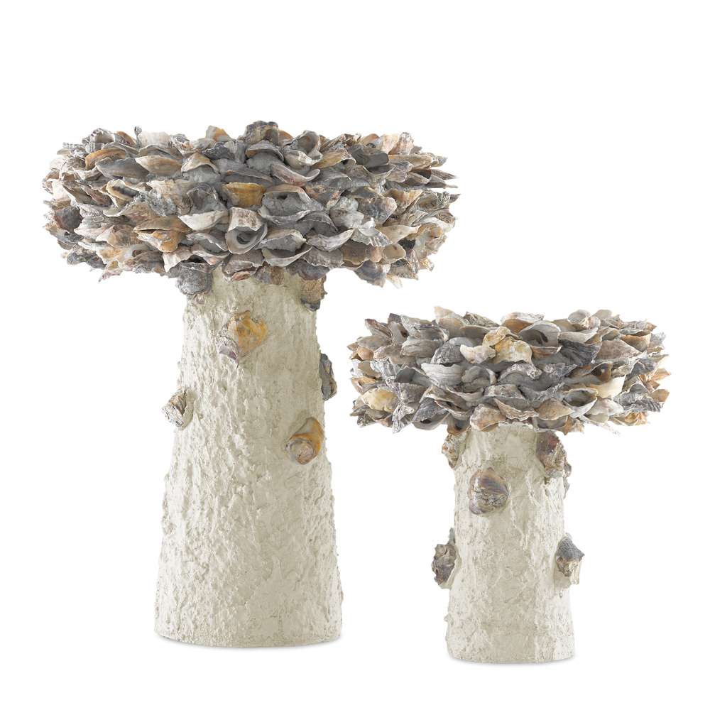 
                      
                        Oyster Shell Medium Bird Bath.
                      
                    